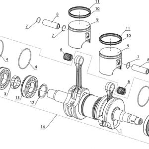 Вал коленчатый и поршни (блок двигателя РМЗ-500)